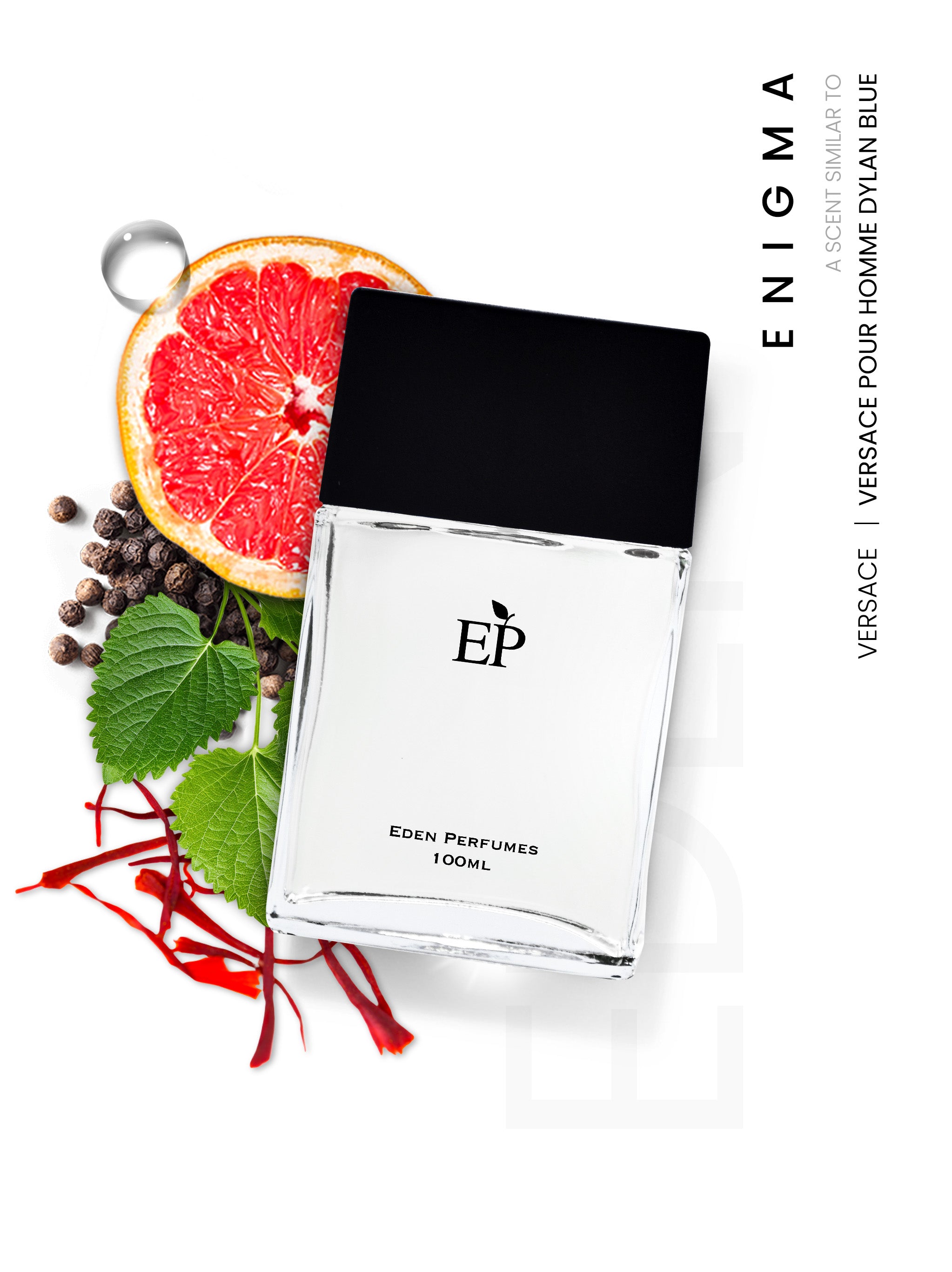 Enigma A scent similar to Versace Pour Homme Dylan Blue by Versace