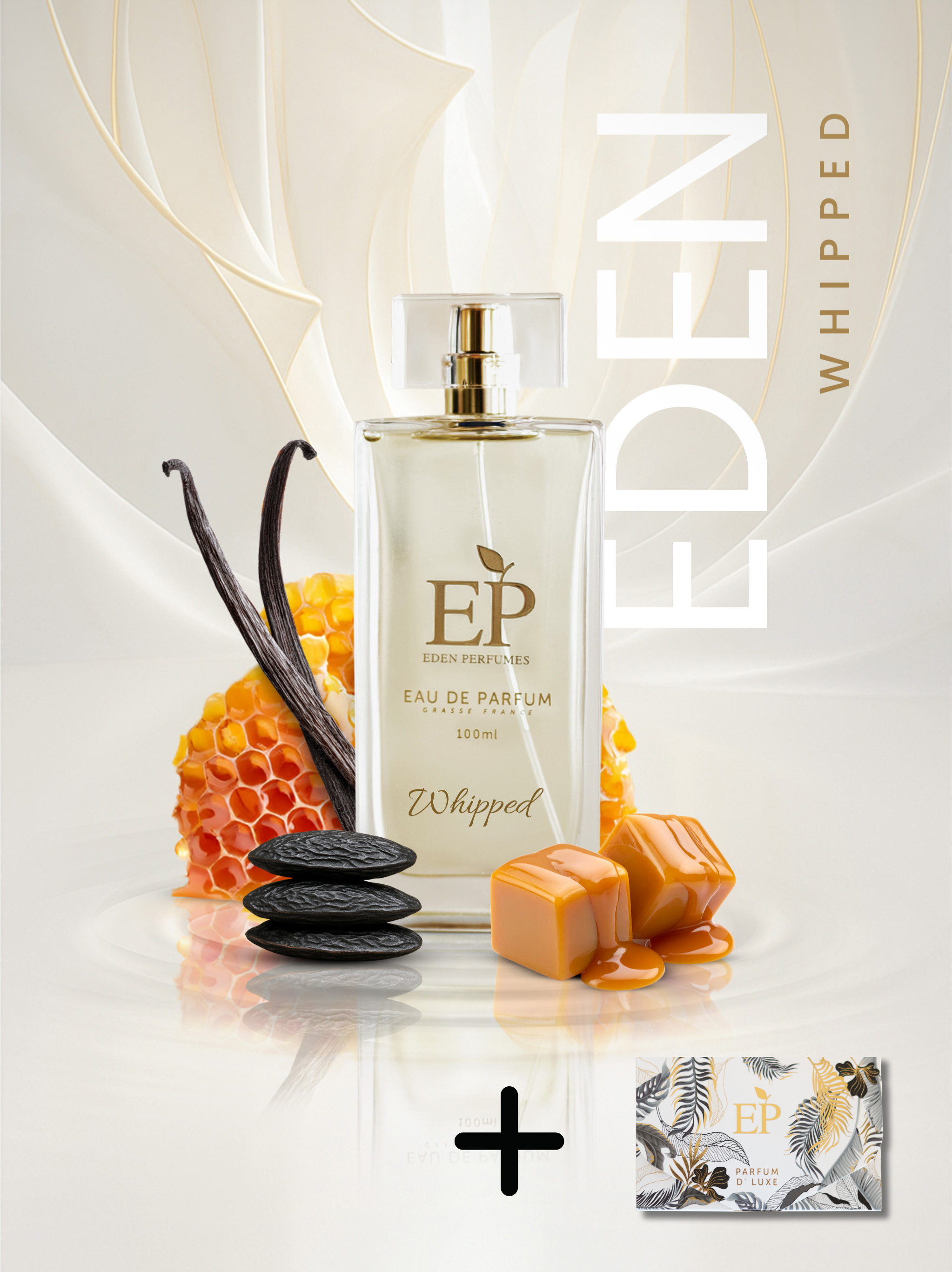 Whipped + Discovery Kit